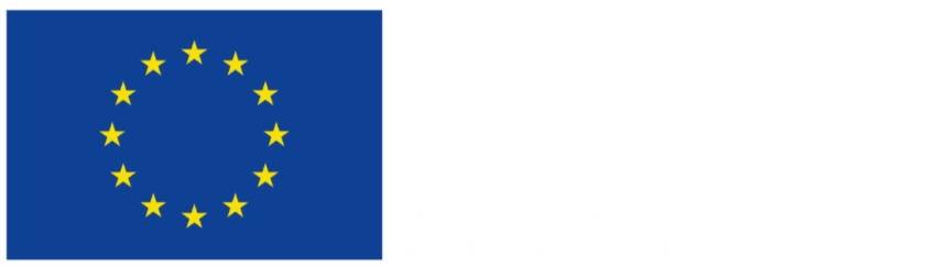 Logo FSE